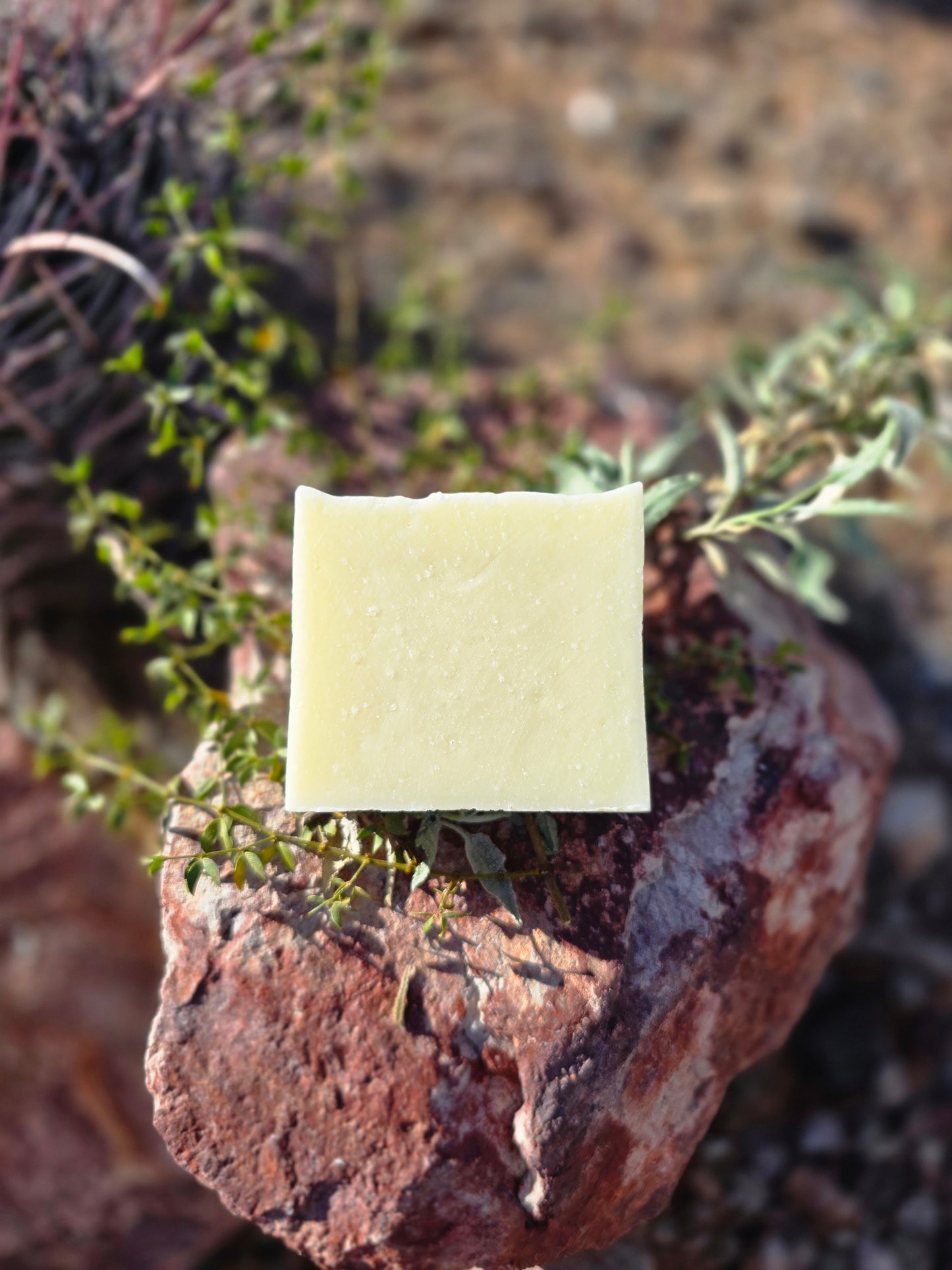 Au Naturel Soap