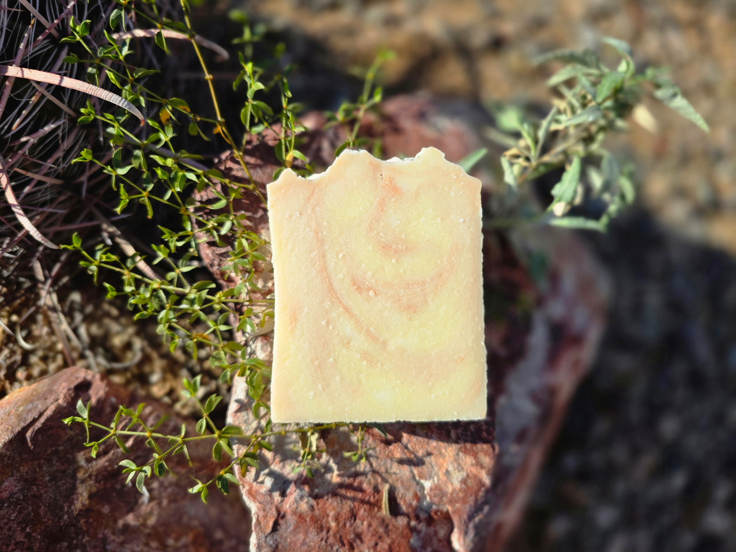 Sunflower Sandalwood Soap