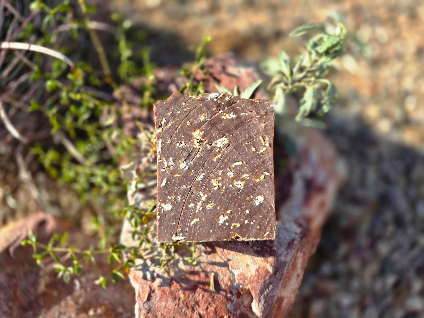 Cinnamon Sugar with Oatmeal Soap