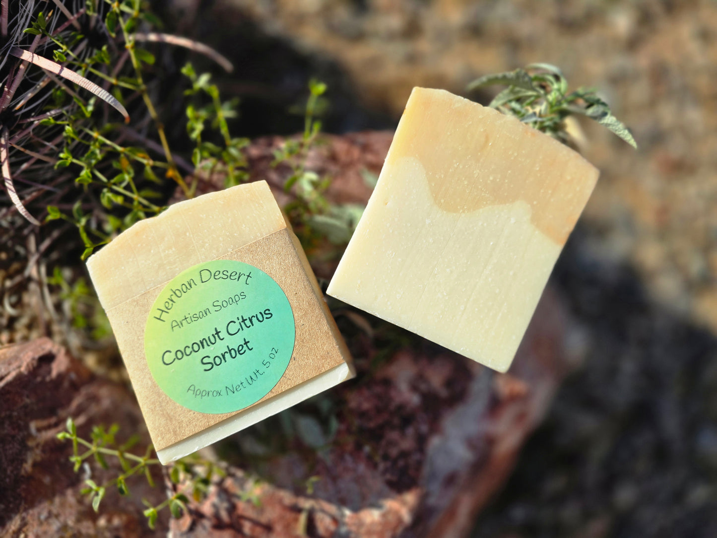 Coconut Citrus Sorbet Soap