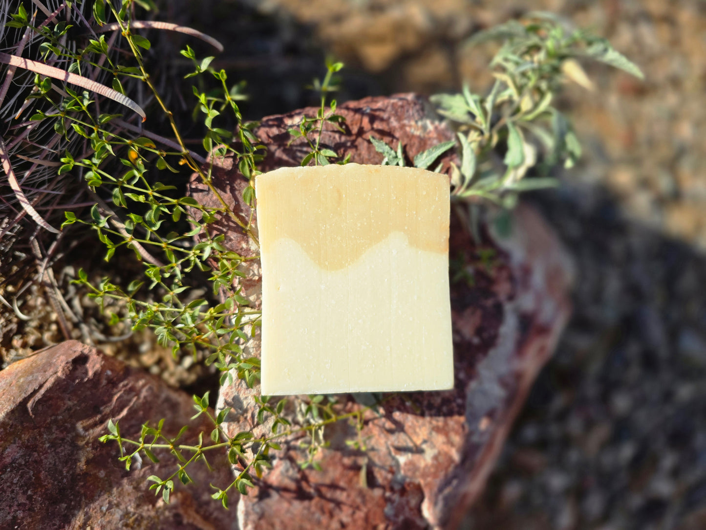 Coconut Citrus Sorbet Soap