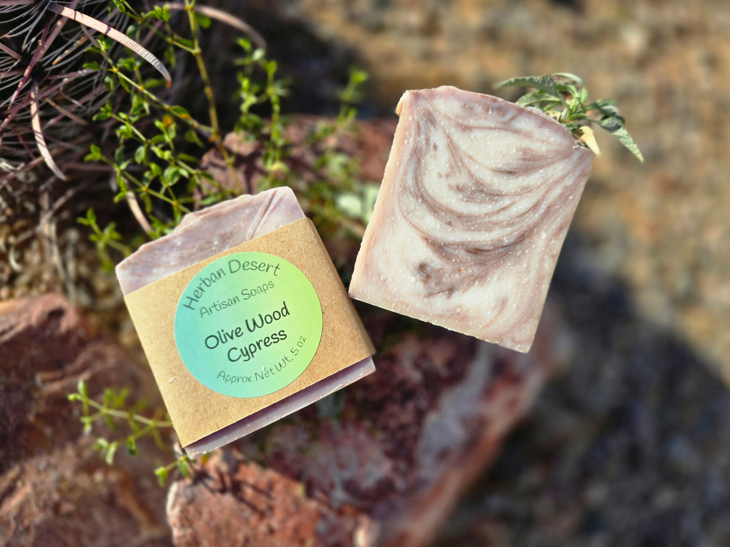 Olive Wood Cypress Soap