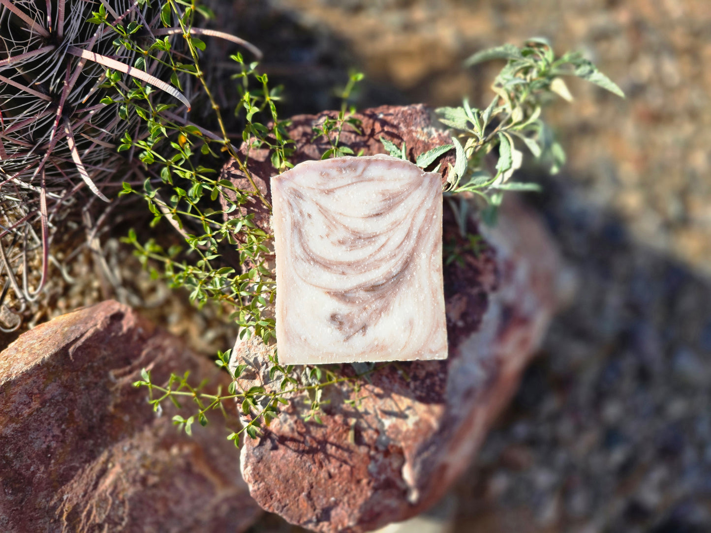 Olive Wood Cypress Soap